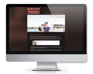 electric-zebra-website
